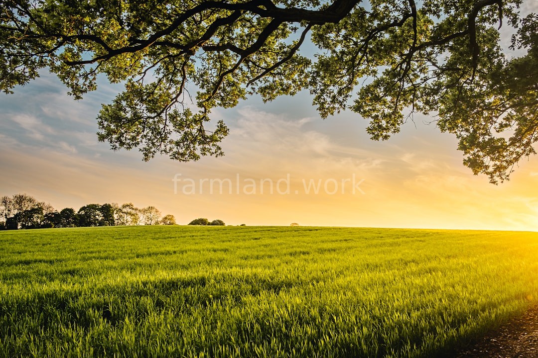 Soil Management