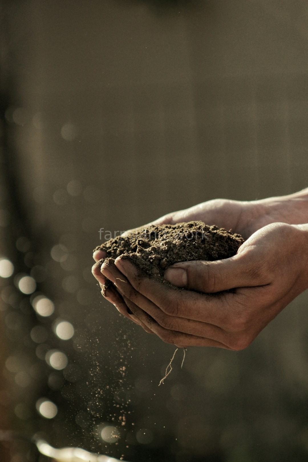 Crop Management