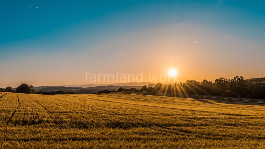 Farm landscape