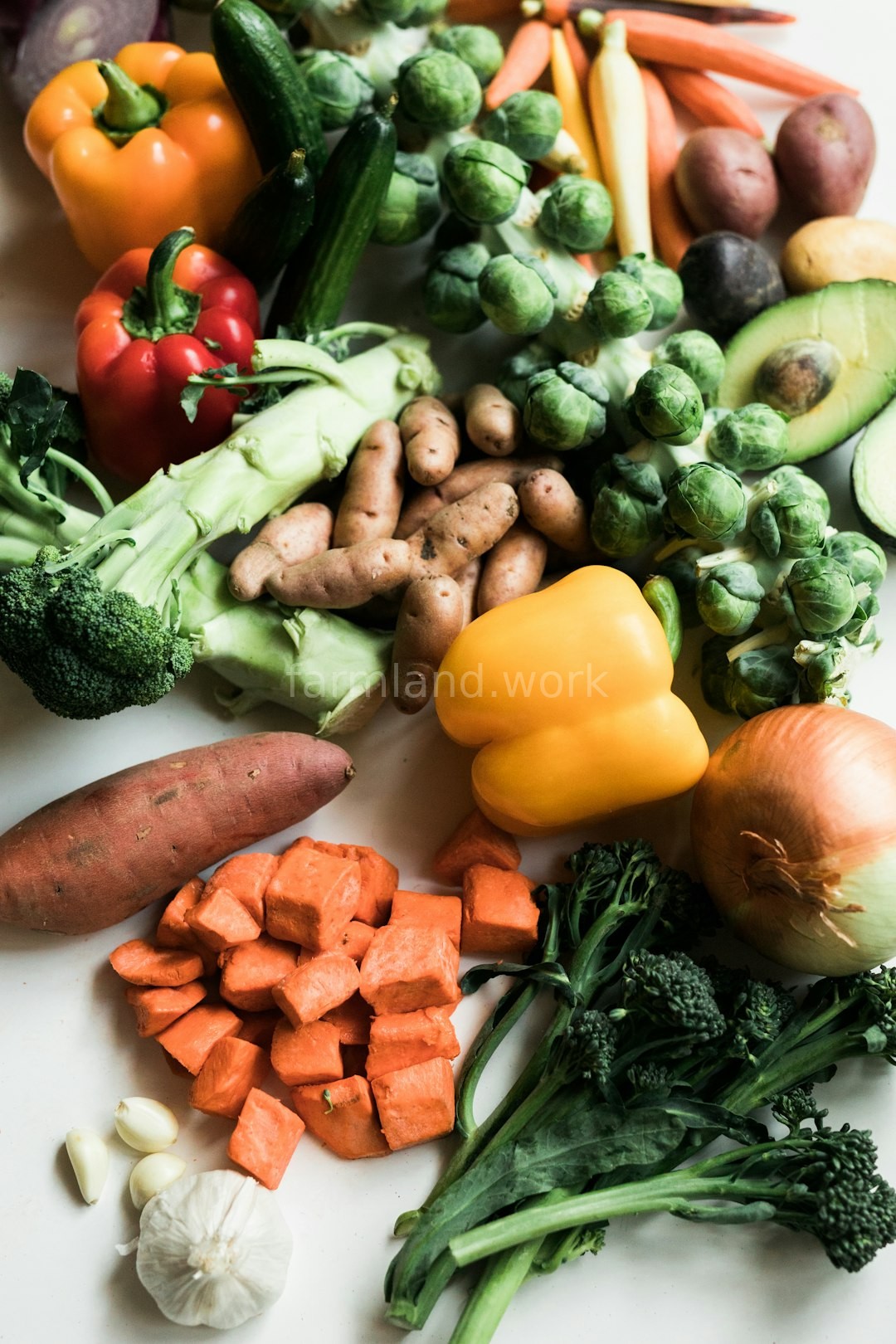 Food Supply