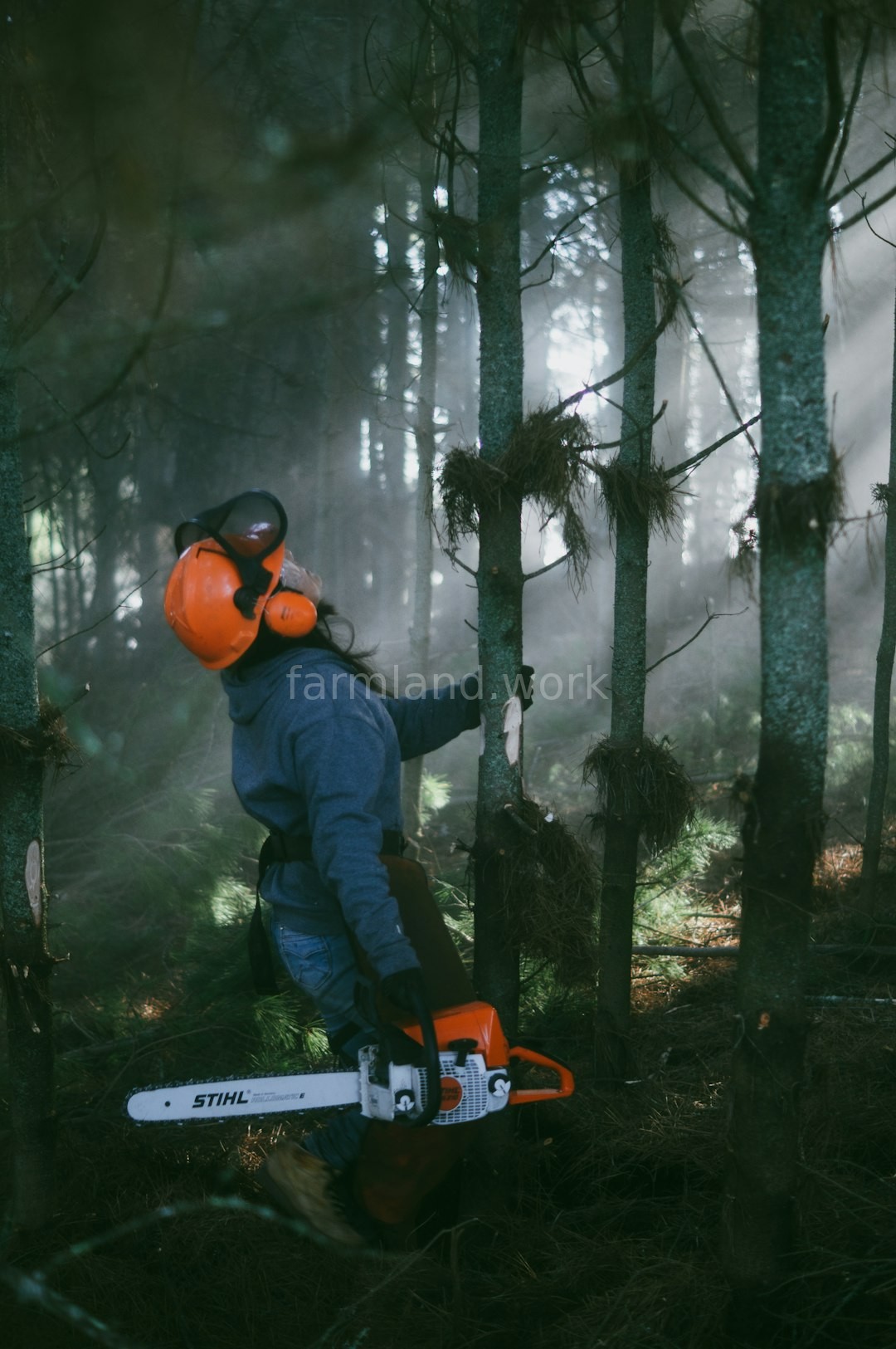 Land Clearing